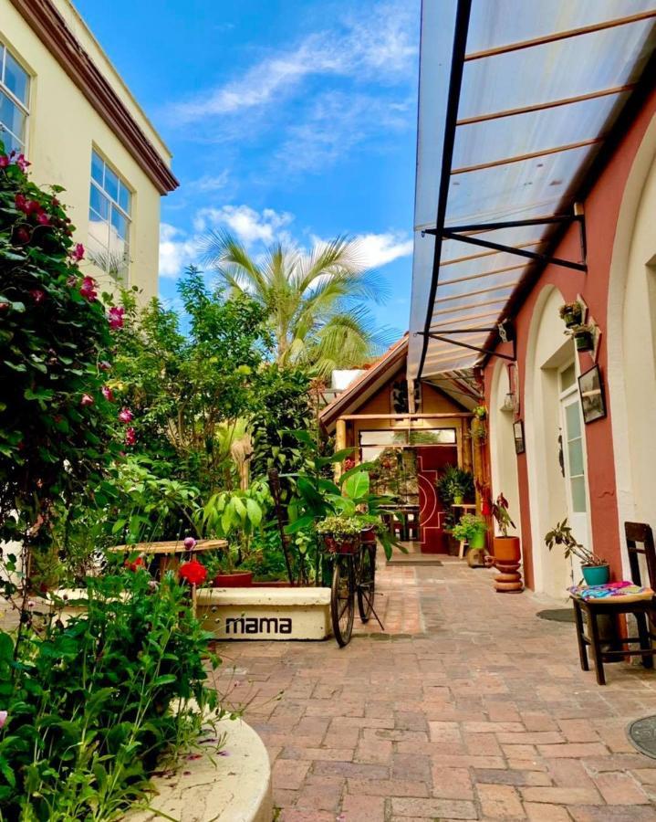 Hostal Yakumama Cuenca Exterior foto